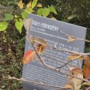 유달산 산왕대성전터 이미지