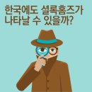 셜록홈즈 이미지