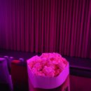 하이델베르크에서 영화 보기 (놉, 에브리씽 에브리웨어 올 앳 원스)