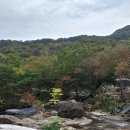 신하농장 이미지