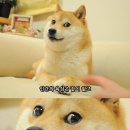 위로 네이버블로그