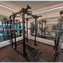 저스트인 피티 이미지