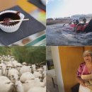 (주)비드 이미지