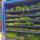 대야종묘농약사 이미지