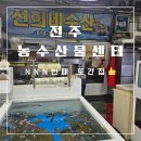 [전주맛집]선희네 수산(feat.내돈내산, 또또또또또간집)