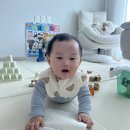 품안작은도서관 | 모니성장기록 7개월 4주차