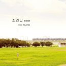 소라닌