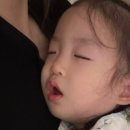 운정표병원 네이버블로그