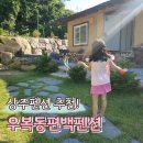 우복동 편백 펜션 이미지