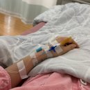 춘원당 | 종로 춘원당한의원 진료 후기 산후보약 내돈내산 후기