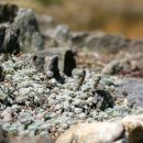 하늘빛으로 물든새 이미지