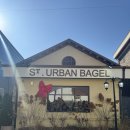 한광고등학교 | 평택트리카페 트리사냥 생어반베이글 베이글맛집 인정