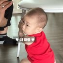 아이보리페퍼 | 아꾸 | 페퍼 26년 여름 후기