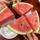 합천농협 봉산지점 | 합천반값여행 | 숙소, 맛집, 카페, 관광지 추천 및 반값여행 환급금 후기