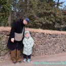 원길로 | [아이랑 제주여행] 정원이 있는 제주 카페, 로스팅 커피 맛집 "볕이 드는 곳, 벧디" 솔직후기~