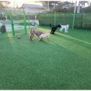 행복한아이유치원 이미지