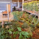 맛있는 궁전반찬 | 진천 숨은 맛집 궁중한정식‘신궁전’부터 치유의숲까지, 엄마 생일여행 후기