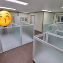 놀러오개 애견유치원 애견호텔 이미지