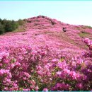 전북은행 앞 사거리 이미지