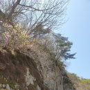 옥동노모당 | 백화산 둘레길(영동 반야사~상주 옥동서원) 걷기