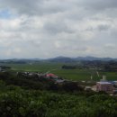 법성포 숲쟁이공원 이미지