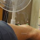 영생농장 이미지