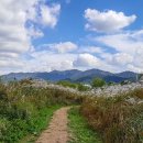 갈맷길6-1구간 이미지