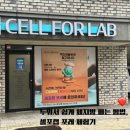 셀포랩포레 | 대전 온열관리 다이어트로 체지방 잡기, 누워서하는 체형관리 "셀포랩 포레" 후기