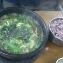 동강다슬기 이미지