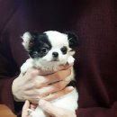 와와멍# 이미지