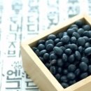 아이엠콩