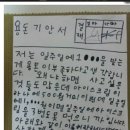 용돈