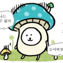 제이앤파크 이미지