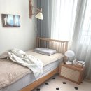 진리세탁 이미지