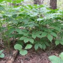 (주)심산 이미지