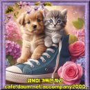 90년대초 인기 발라드 모음 1탄 66곡 이미지