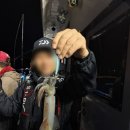 암남항 | 한치낚시 / 한치낚시 조황 / 한치 배 추천 / 송도 광성호 / 부산 한치낚시 배 / 선상 낚시 / 한치 후기