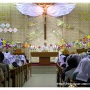 성유목장 이미지