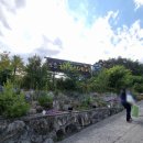 해피데이애견 이미지