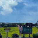 제주도 1박2일 : 짧고 굵게 다녀오는 코스, 산방산 유채꽃밭 포토스팟, 사계해안, 더비비스제주, 중문...