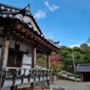 산청 단성현 호적장부 이미지