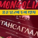 신기트래블