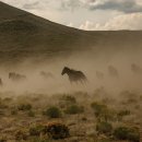 P-7517 National Geographic