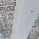 성호중학교 이미지