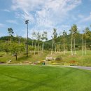 하이원콘도미니엄사우나 이미지