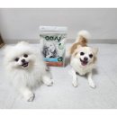 원퍼피 | 오아지 강아지사료 <원 애니멀 프로틴 퍼피&amp;주니어 스몰/미니 연어> 체험후기