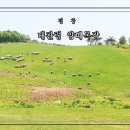 재정 목장 | 평창 하면 이곳!!! 대관령 양떼목장 대관령 체험목장 비교