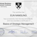 IBMI Basics of Strategic Management 남궁은 이미지