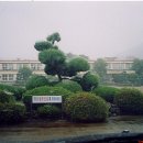 용산중학교 이미지