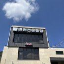 큐티퍼피 | 양주근처 동두천 애견카페 천연잔디 운동장 일요일은 예스키즈 개인공간
